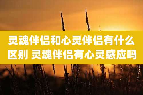 灵魂伴侣和心灵伴侣有什么区别 灵魂伴侣有心灵感应吗