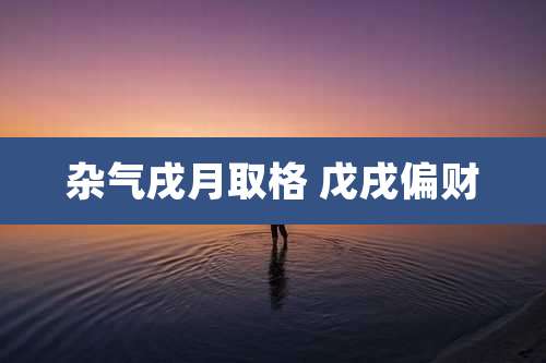 杂气戌月取格 戊戌偏财