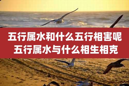 五行属水和什么五行相害呢 五行属水与什么相生相克