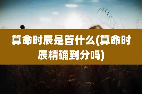 算命时辰是管什么(算命时辰精确到分吗)