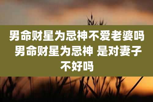 男命财星为忌神不爱老婆吗 男命财星为忌神 是对妻子不好吗