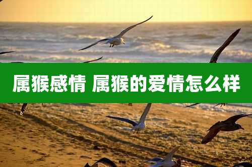 属猴感情 属猴的爱情怎么样