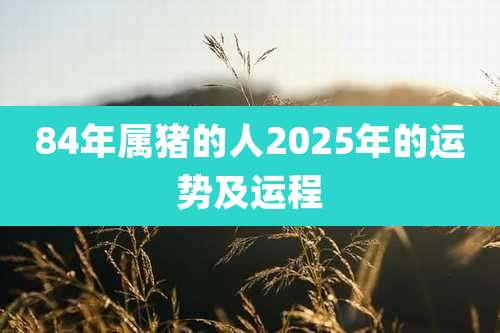 84年属猪的人2025年的运势及运程