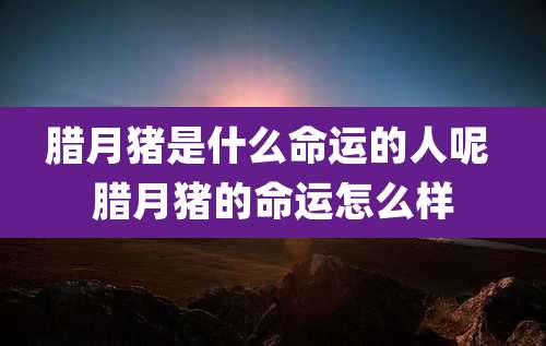 腊月猪是什么命运的人呢 腊月猪的命运怎么样