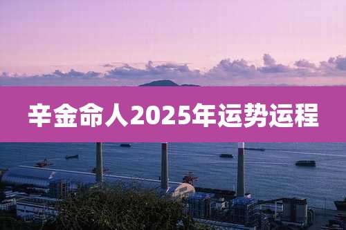 辛金命人2025年运势运程