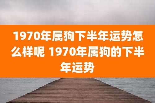 1970年属狗下半年运势怎么样呢 1970年属狗的下半年运势
