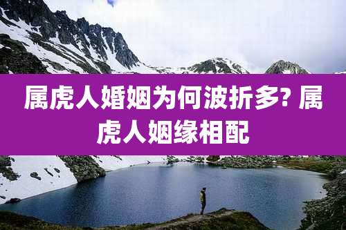 属虎人婚姻为何波折多? 属虎人姻缘相配