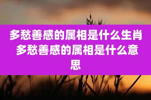 多愁善感的属相是什么生肖 多愁善感的属相是什么意思