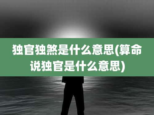 独官独煞是什么意思(算命说独官是什么意思)
