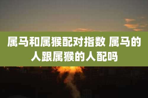 属马和属猴配对指数 属马的人跟属猴的人配吗