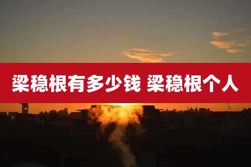 梁稳根有多少钱 梁稳根个人