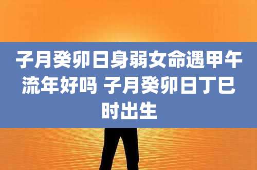 子月癸卯日身弱女命遇甲午流年好吗 子月癸卯日丁巳时出生