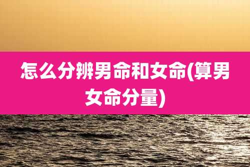 怎么分辨男命和女命(算男女命分量)