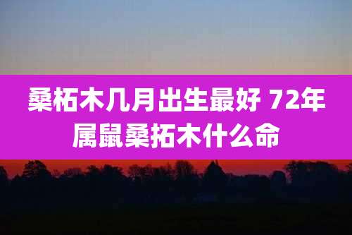 桑柘木几月出生最好 72年属鼠桑拓木什么命