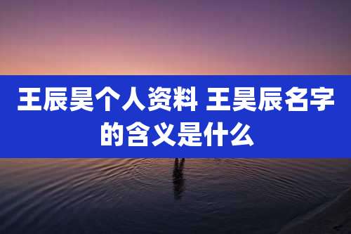 王辰昊个人资料 王昊辰名字的含义是什么