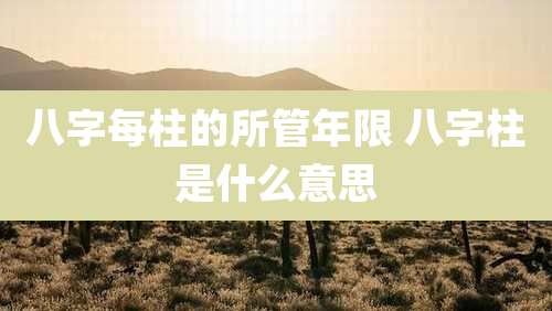 八字每柱的所管年限 八字柱是什么意思