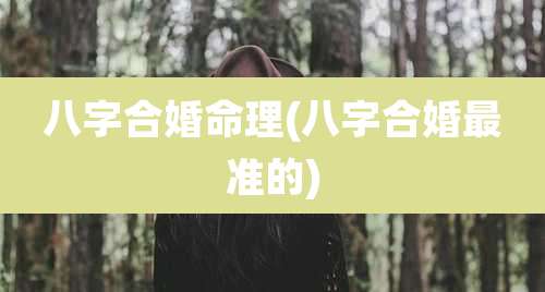 八字合婚命理(八字合婚最准的)