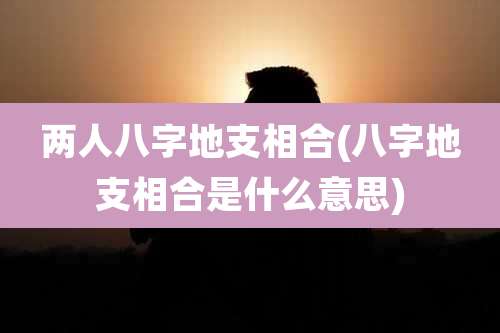 两人八字地支相合(八字地支相合是什么意思)