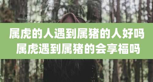 属虎的人遇到属猪的人好吗 属虎遇到属猪的会享福吗