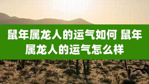 鼠年属龙人的运气如何 鼠年属龙人的运气怎么样