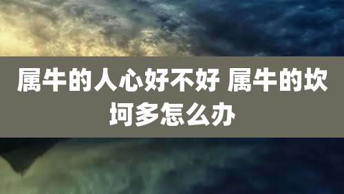 属牛的人心好不好 属牛的坎坷多怎么办