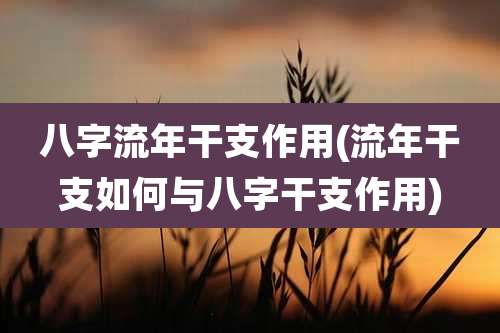 八字流年干支作用(流年干支如何与八字干支作用)