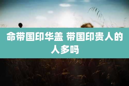 命带国印华盖 带国印贵人的人多吗