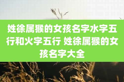 姓徐属猴的女孩名字水字五行和火字五行 姓徐属猴的女孩名字大全