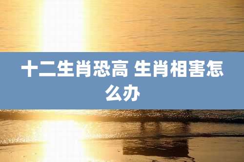 十二生肖恐高 生肖相害怎么办