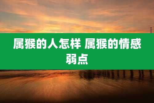 属猴的人怎样 属猴的情感弱点