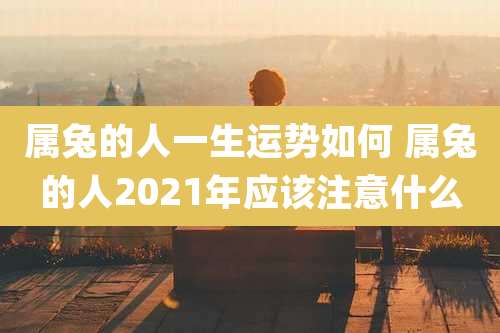 属兔的人一生运势如何 属兔的人2021年应该注意什么