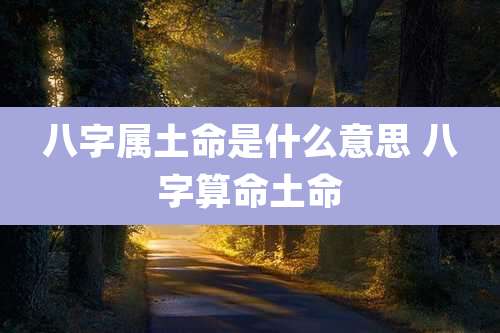 八字属土命是什么意思 八字算命土命