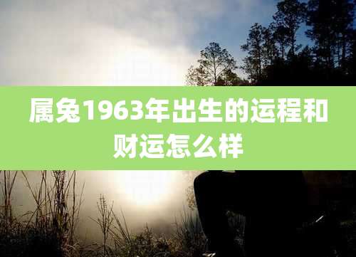 属兔1963年出生的运程和财运怎么样