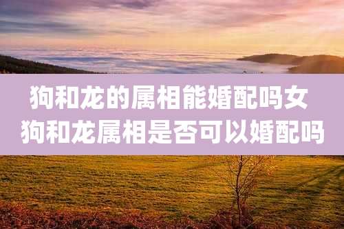 狗和龙的属相能婚配吗女 狗和龙属相是否可以婚配吗