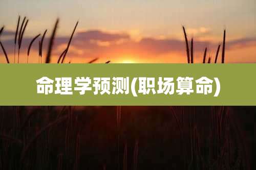 命理学预测(职场算命)