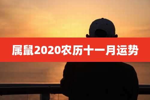 属鼠2020农历十一月运势