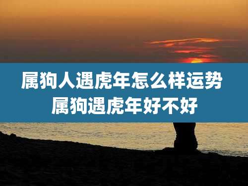 属狗人遇虎年怎么样运势 属狗遇虎年好不好