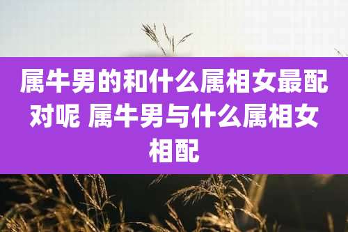 属牛男的和什么属相女最配对呢 属牛男与什么属相女相配