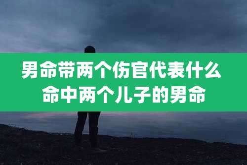 男命带两个伤官代表什么 命中两个儿子的男命
