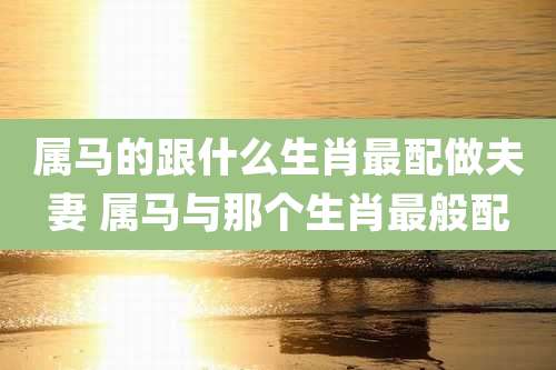 属马的跟什么生肖最配做夫妻 属马与那个生肖最般配