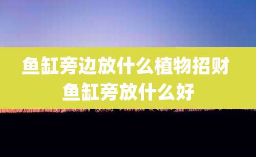 鱼缸旁边放什么植物招财 鱼缸旁放什么好