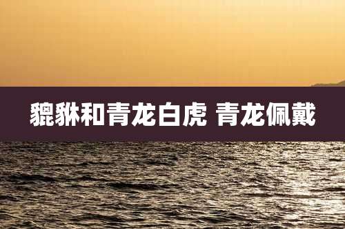 貔貅和青龙白虎 青龙佩戴