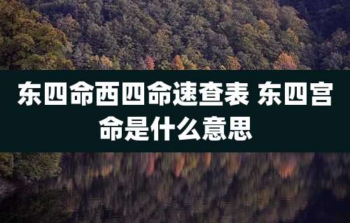东四命西四命速查表 东四宫命是什么意思