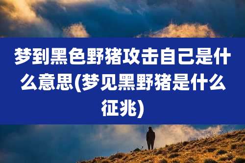 梦到黑色野猪攻击自己是什么意思(梦见黑野猪是什么征兆)