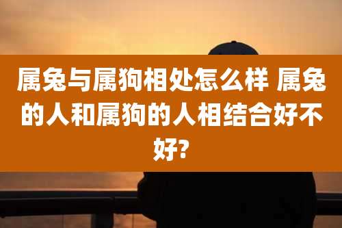 属兔与属狗相处怎么样 属兔的人和属狗的人相结合好不好?