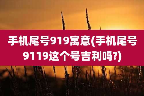 手机尾号919寓意(手机尾号9119这个号吉利吗?)