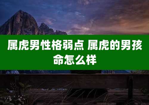 属虎男性格弱点 属虎的男孩命怎么样