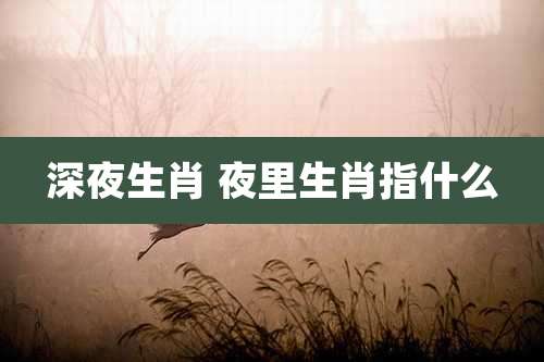 深夜生肖 夜里生肖指什么