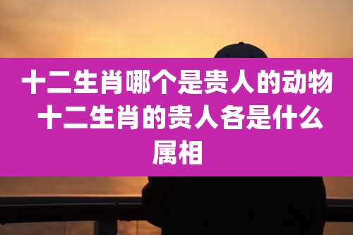十二生肖哪个是贵人的动物 十二生肖的贵人各是什么属相