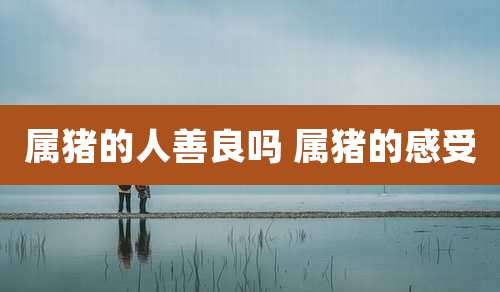 属猪的人善良吗 属猪的感受